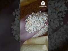 آلة استخراج زيت براعم الذرة