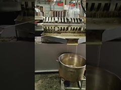 6YL-290 مطبخ زيت المسمار مطبخ زيت الفول السوداني بارد